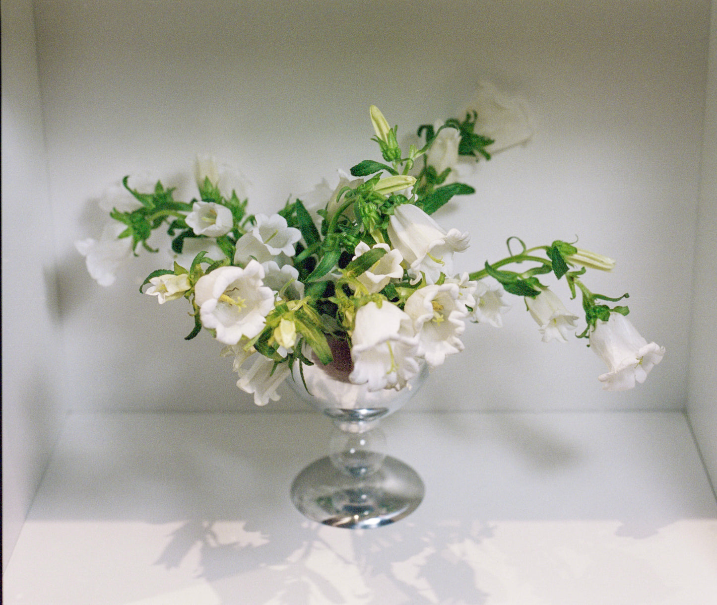 Crystal Clear Vase